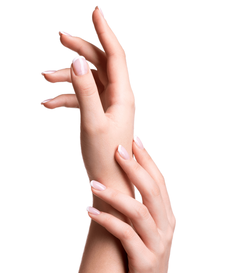Polisheen Salon